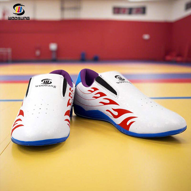 Taekwondo Sportschuhe
